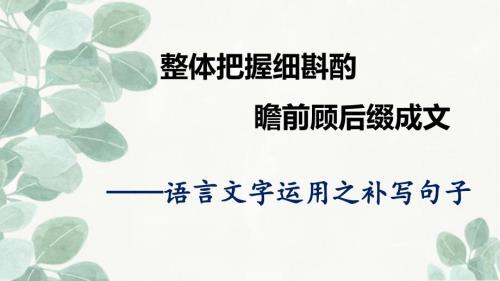 高考语文复习：语言文字运用之补写句子+课件
