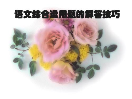 中考语文二轮专题复习：《综合运用题的解答技巧》课件