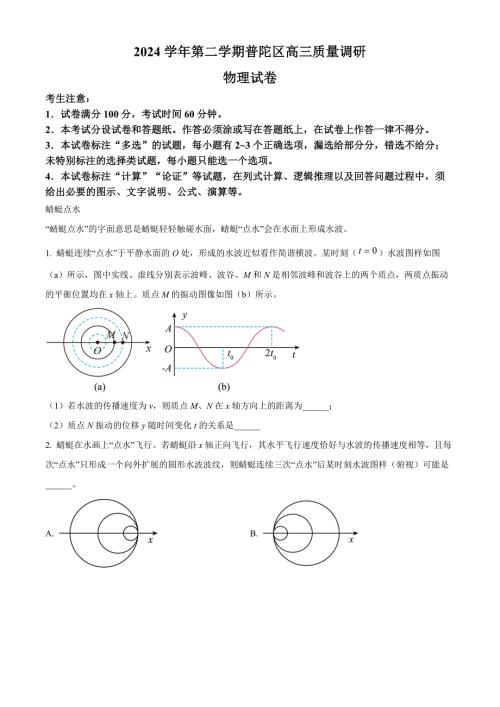 2025届上海市普陀区高三下学期3月二模物理试题含解析