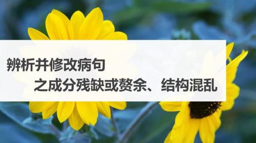 2025年中考语文二轮专项复习课件：《辨析与修改病句之成分残缺或赘余、结构混乱》