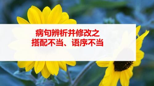 2025年中考语文二轮专项梳理复习《辨析与修改病句之搭配不当、语序不当病句》课件