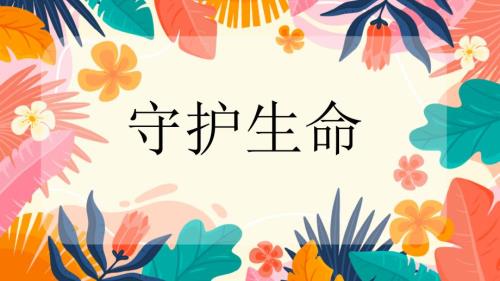 人教版美术一年级下册《守护生命》课件