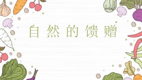 人教版美术一年级下册《自然的馈赠》课件