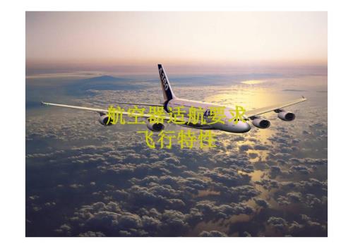 适航概论课件：航空器适航要求
