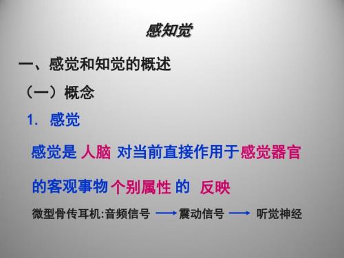 心理学-感知觉PPT课件