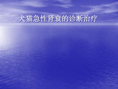 犬猫急性肾衰的诊断治疗及腹膜透析、配血