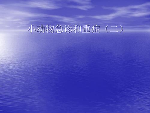 小动物急诊和重症（二）